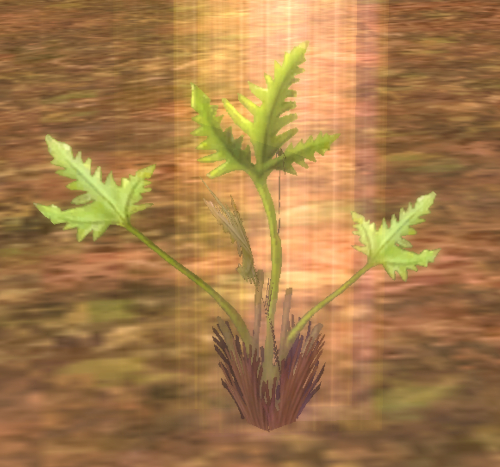 Tiger Soul Herb